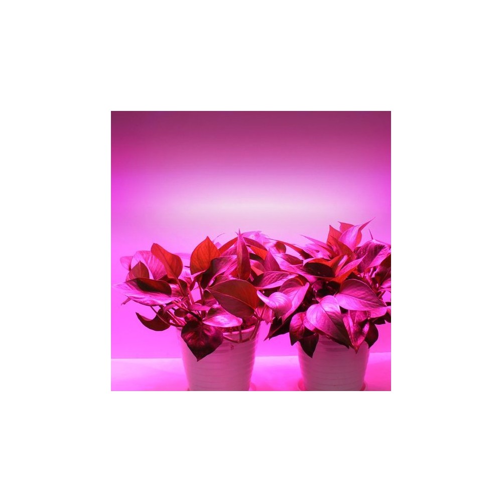 Ruban LED horticole 220v - Idéal pour vos plantes / votre jardin