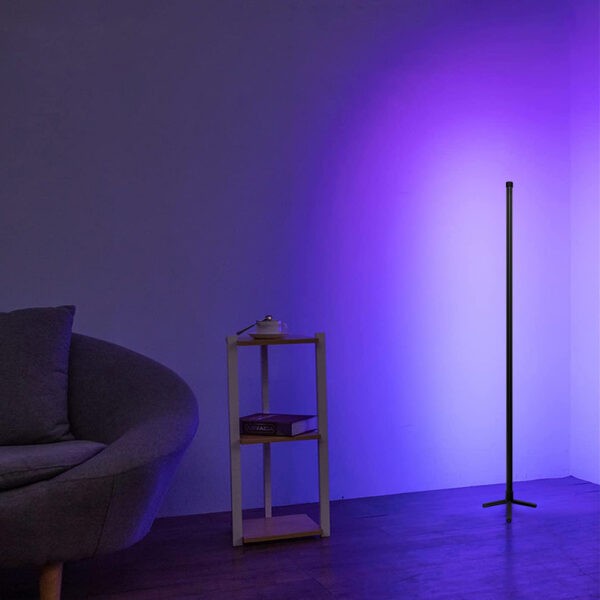 Guirlande lumineuse LED pour extérieur ou intérieur (blanc/RGB