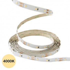 Ruban LED 12V 3528 - Blanc naturel 4000K