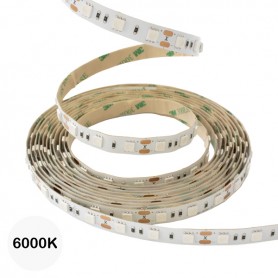 Ruban LED 24V 5050 60 led/m 10M - Blanc froid 6000K