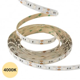 Ruban LED 24V 5050 60 led/m 10M - Blanc naturel 4000K